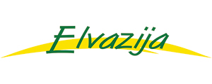 Elvazija