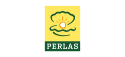 Perlo terminalas
